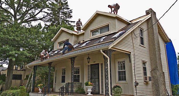 Best Roof Maintenance Services  in Pineville, NC